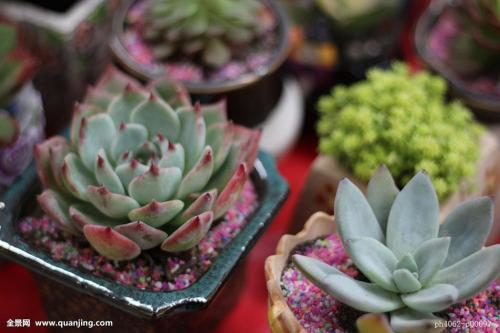 70¹ڷȷﲡ ۼƱ8610