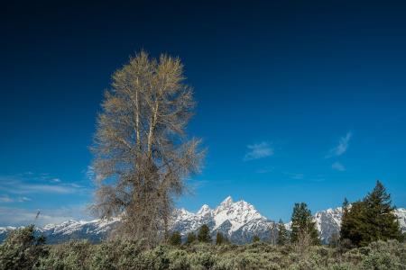 ȽĻҪ׼ʶȡ