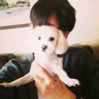 ȫȷ79232555 ֱ¹ڲȾ